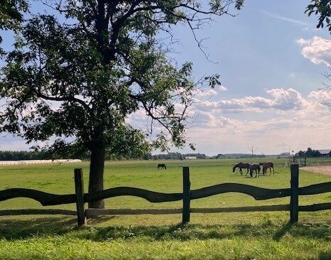 Campingplatz, Erlebniswelt, Agrotouristik nahe der deutschen Grenze