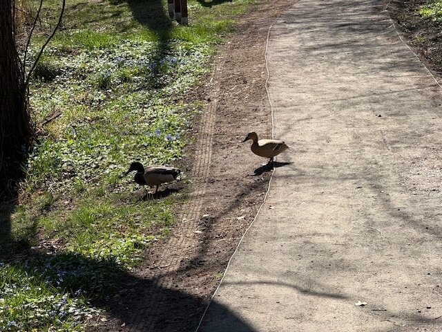 Neubau Doppelhaushälfte mit Garage und deutschen Nachbarn in See Nähe