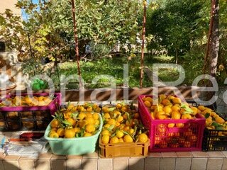 Kroatien! Ugljan! Absolutes Traumhaus in absoluter Traumlage