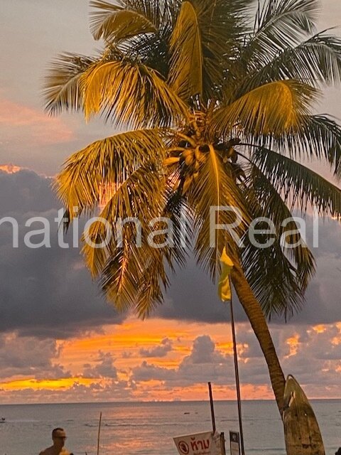 Pfeifen Sie auf die Heizkosten und Inflation. Folgen Sie mir nach Thailand!