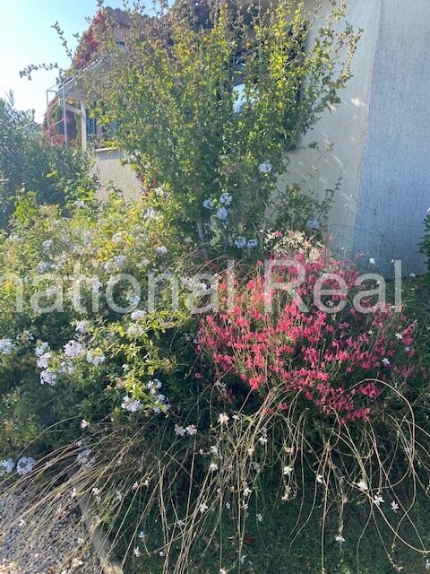 Großes Einfamilienhaus mit Einliegerwohnung auf grünem Grundstück