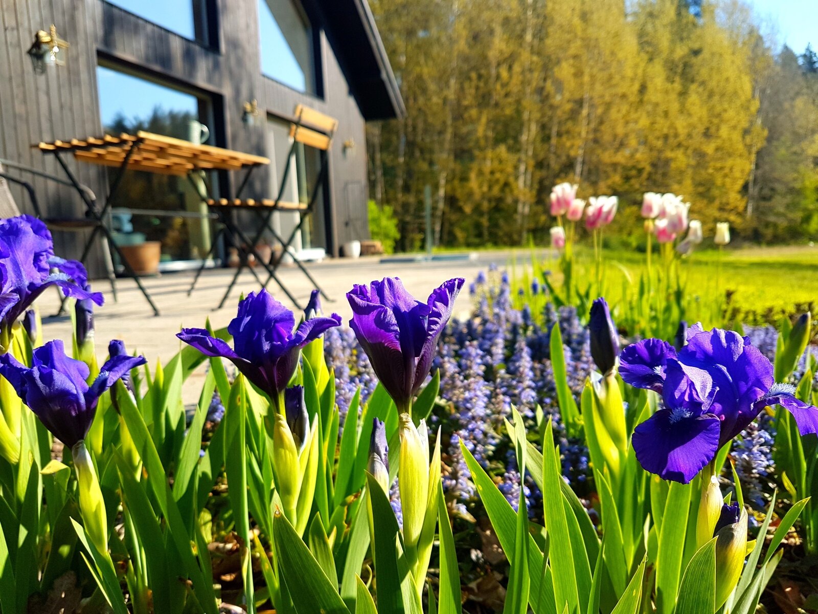 Schwedenhaus in herrlicher Naturlandschaft, 20 Minuten südwestliche von Danzig