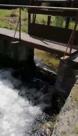 Historische Wassermühle mit eigener Stromversorgng zwischen Stettin und Kolberg