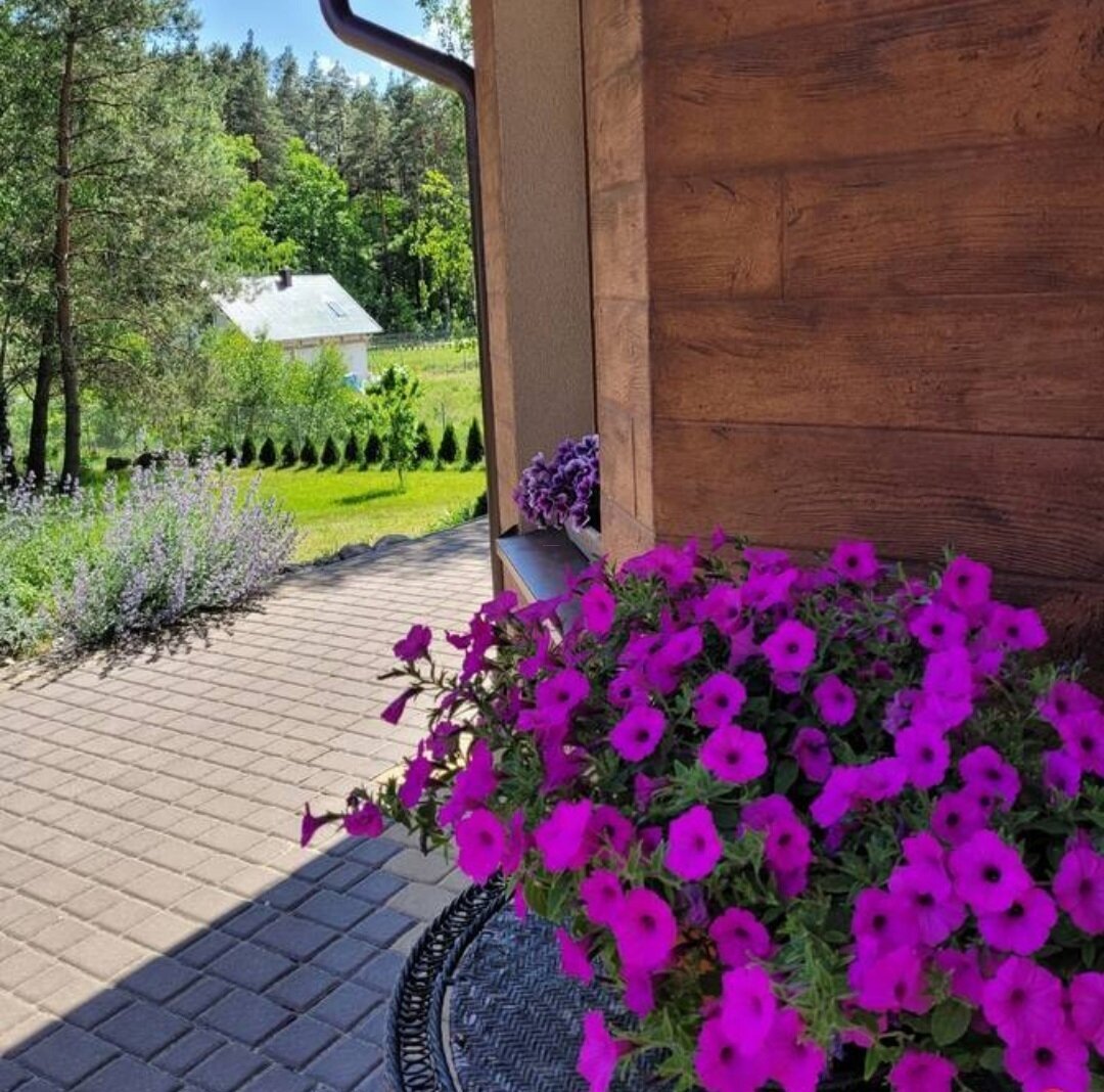 Energieautarkes Passivhaus in grüner Umgebung am See