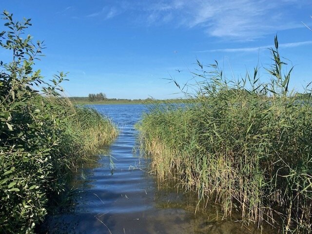 Herrliches Baugrundstück am See , Soldiner Seenplatte