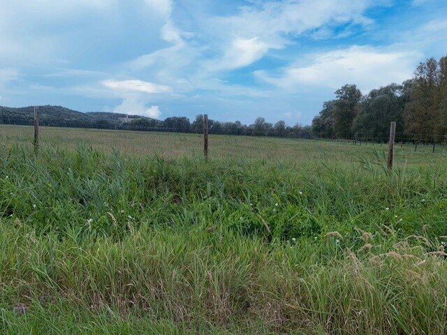 Polen! Pferde Ranch auf 120 ha nahe der deutschen Grenze