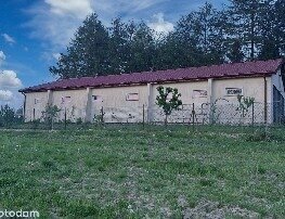 Ein Traum für Pferdefreunde: Moderner Pferdehof an der Ostsee