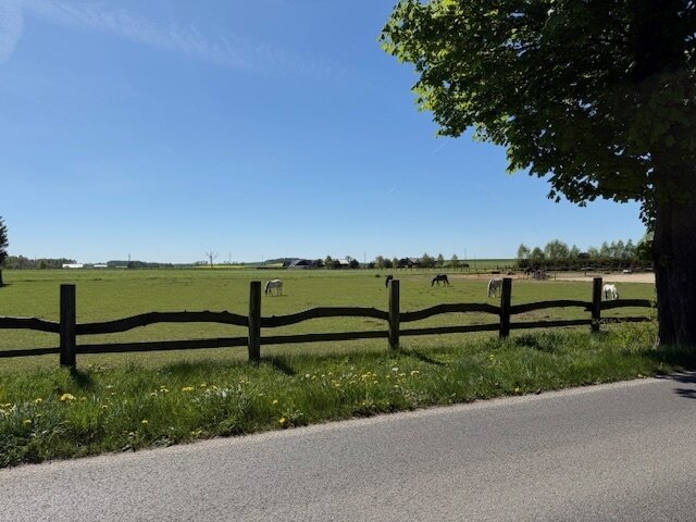 Ein Traum für Pferdefreunde: Moderner Pferdehof an der Ostsee