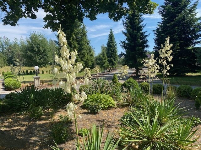 Exklusive Perle mit viel Charme am Stettiner Haff auf großzügigen Grundstück! Provisionsfrei!