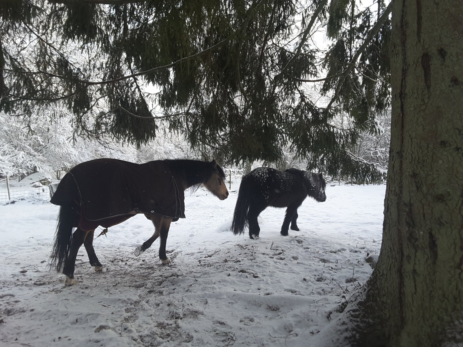Idyllisches Wohnen im 3 Seitenhof mit Gästehaus am See in Südschweden