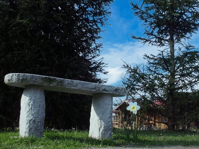 Naturverbundenes Wohnen in stilvollen Blockbohlenhäusern