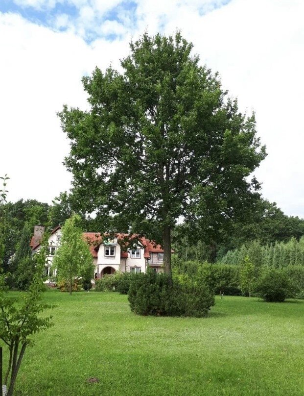 Existenz! Hotelübernahme kurz hinter der deutsch/polnischen Grenze