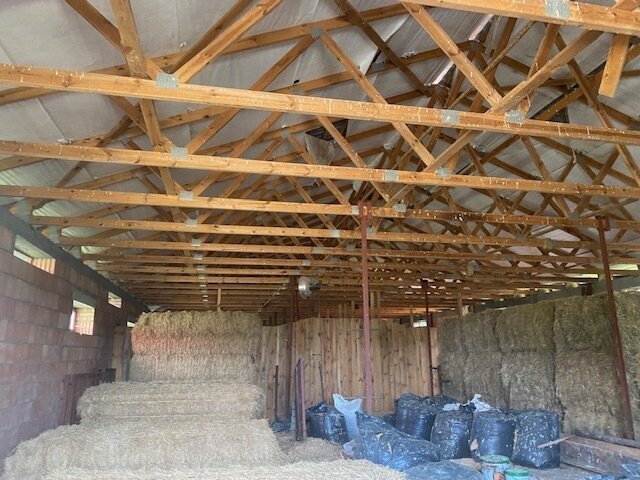 Polen! Pferde Ranch auf 120 ha nahe der deutschen Grenze