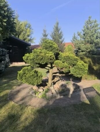 Ein harmonisches Zuhause in der Natur – Ihr neues Paradies an der Lebuser Seenplatte