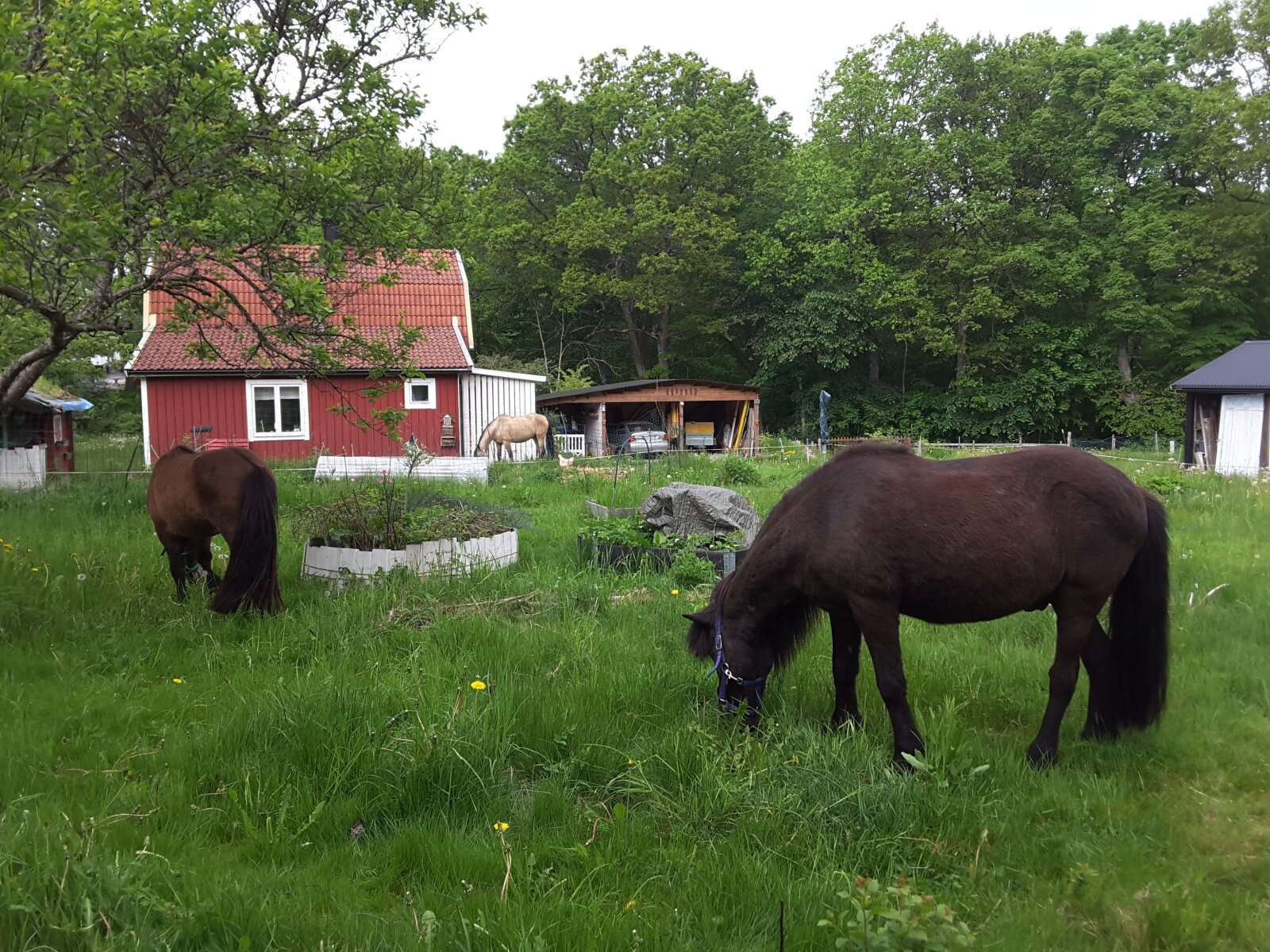 Idyllisches Wohnen im 3 Seitenhof mit Gästehaus am See in Südschweden