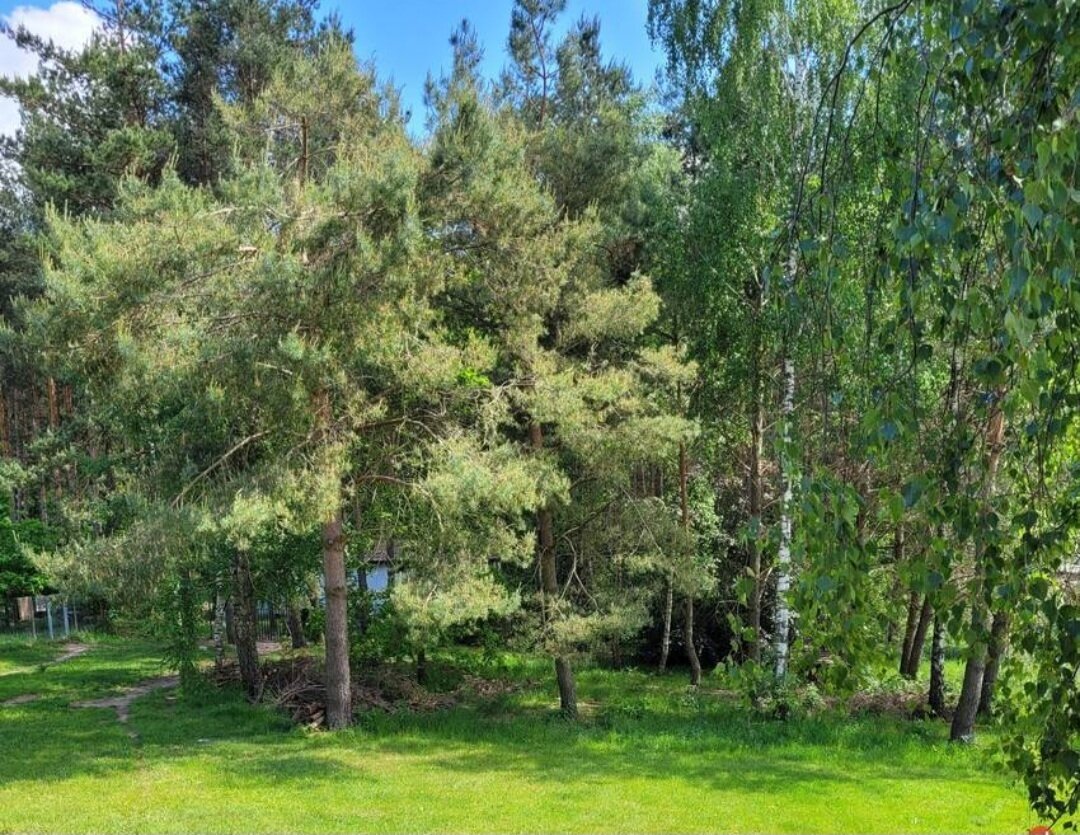 Energieautarkes Passivhaus in grüner Umgebung am See