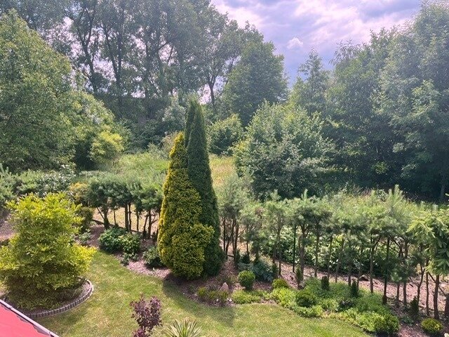 Smartes energieautarkes Einfamilienhaus in grüner Idylle