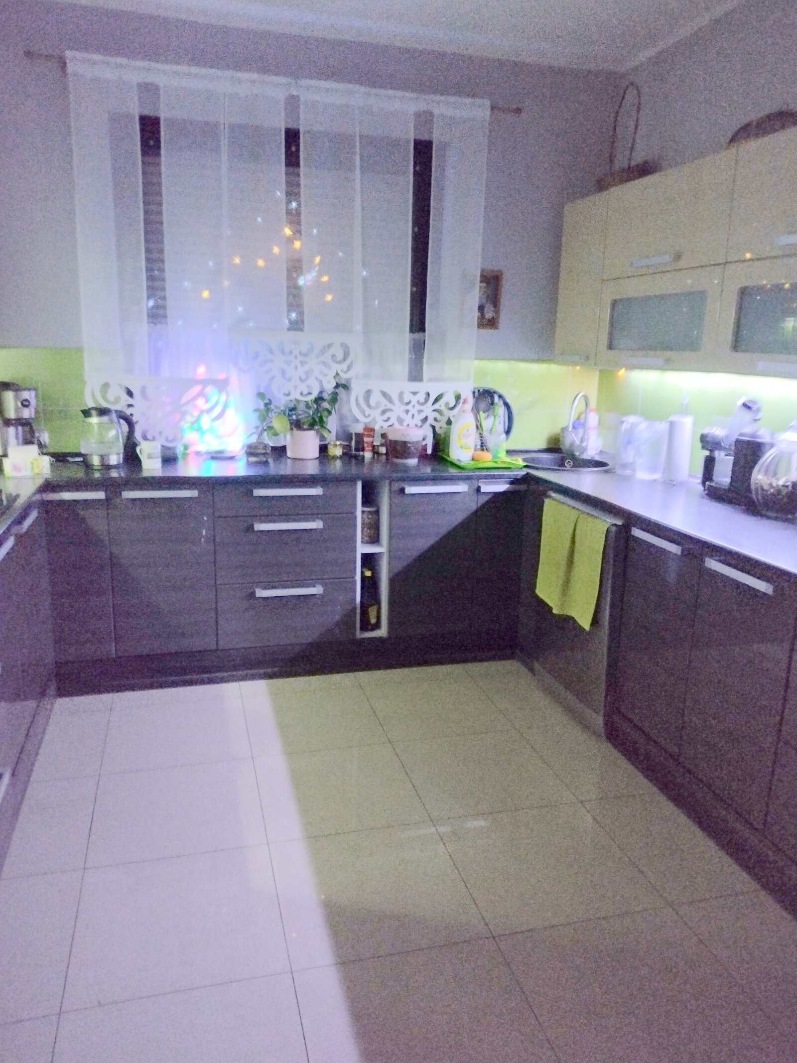 Polen! Slubice! Grenznahes Einfamilienhaus in ruhiger Lage