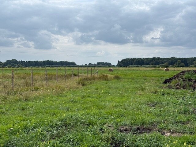 6 Baugrundstücke in Top Lage am Stettiner Haff
