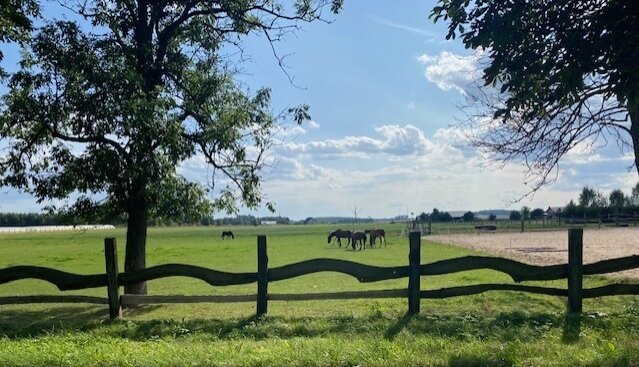 Polen! Pferde Ranch auf 120 ha nahe der deutschen Grenze