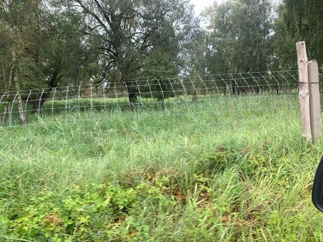 Polen! Pferde Ranch auf 120 ha nahe der deutschen Grenze