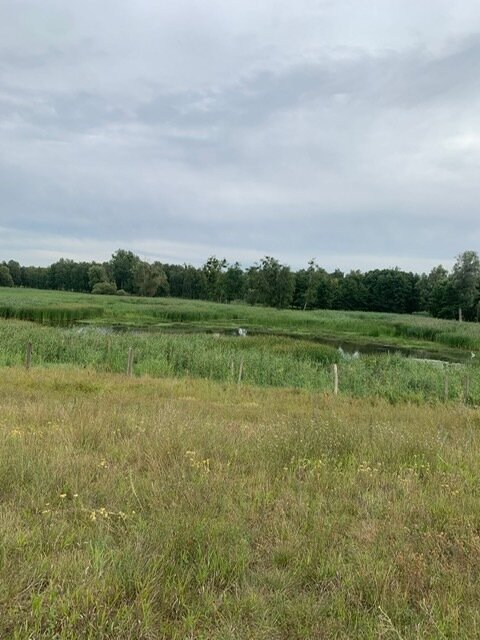 Campingplatz, Erlebniswelt, Agrotouristik nahe der deutschen Grenze